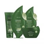 Botanic Beauty Herbal Traitement Des Cheveux Affaiblis Romarin et Gingembre | Kit de 4 pièces