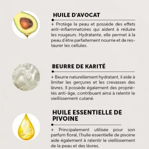 ARTIQUE Baume à Lévres Anti-Age _ 3.7g