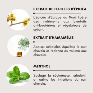 Crème Capillaire Apaisante & Purifiante _ 300 ml (3)